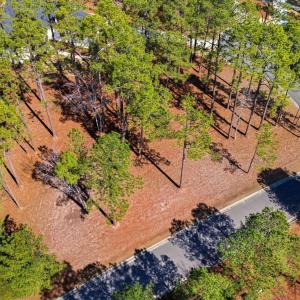 DJI_20260224122213_0041_D