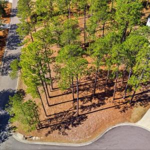 DJI_20260224122115_0029_D