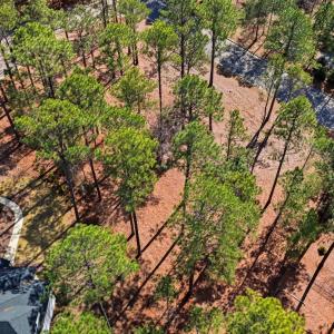 DJI_20260224122302_0047_D