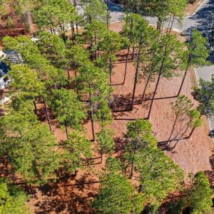 DJI_20260224122244_0044_D