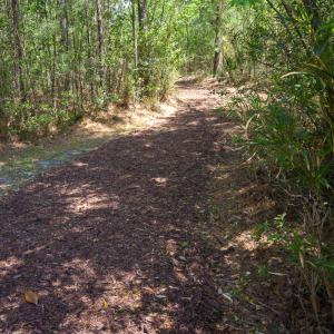 Brunswick Forest Ammenities-28