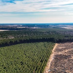 dji_20260104133820_0010_d