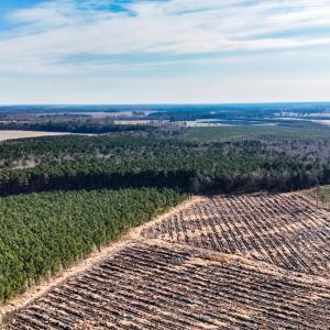 dji_20260104133805_0009_d
