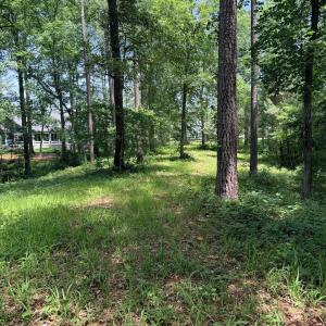 Lot 507