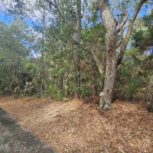 Resized_20240307_142958_1709839956581