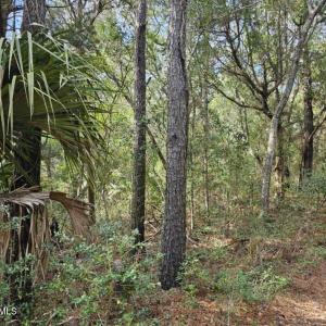 Resized_20240307_143121_1709839957244