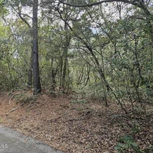 Resized_20240307_143156_1709839935935