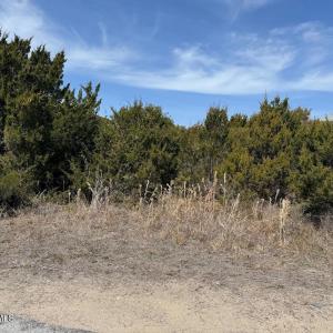 Photo #1 of 7 Snowy Egret, Bald Head Island, NC