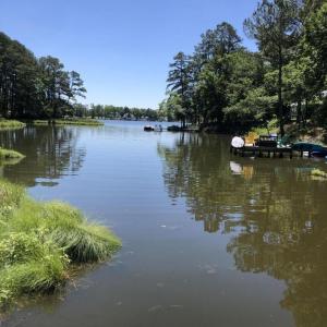 creek view3