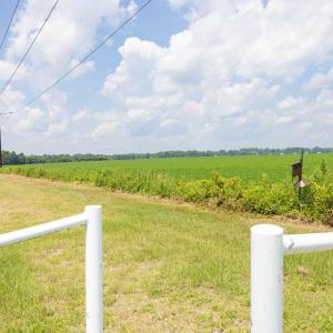 Easement into Edenton Bay