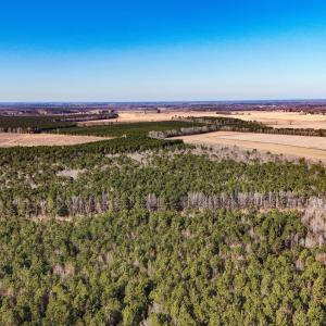 dji_20260104133432_0005_d