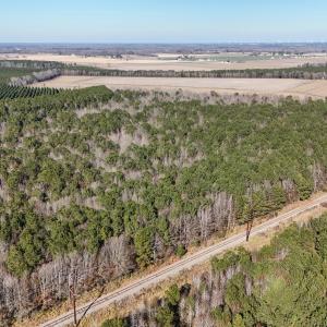 dji_20260104134534_0015_d