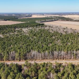 dji_20260104134503_0014_d