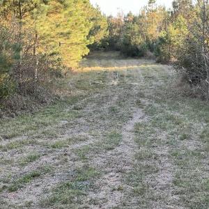 View #2 from blindHEIC