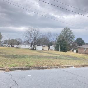 Photo of Land_IMG_5287 (1)