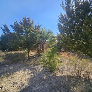 20240307234715750968000000-o