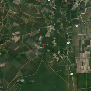 Screenshot 2026-03-02 at 1.02.47PM