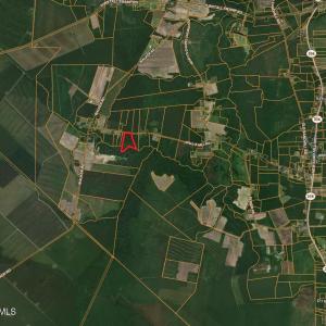 Screenshot 2026-03-02 at 1.02.40PM