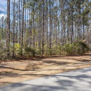 4-web-or-mls-0C0A4121