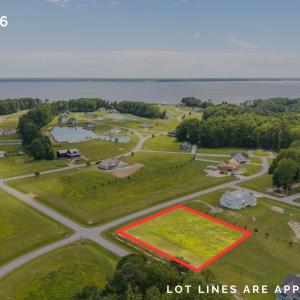 Lot 216 - lines (2)