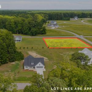 Lot 216 - lines (3)