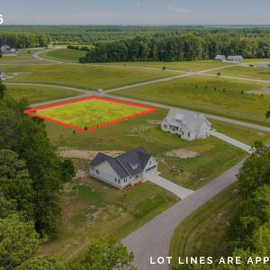 Lot 216 - lines (1)
