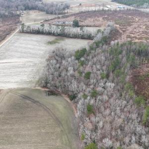 DJI_20260219094134_0579_D