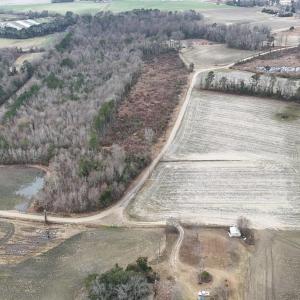 DJI_20260219094236_0581_D