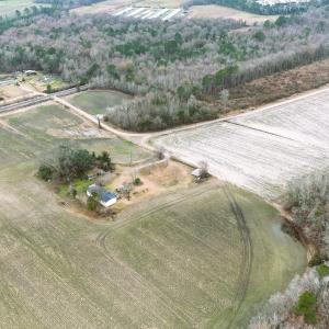 Photo #3 of Bear Bay, Lumberton, NC 8.0 acres