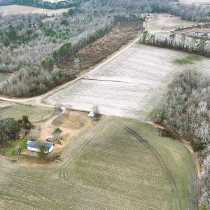 Photo #4 of Bear Bay, Lumberton, NC 8.0 acres