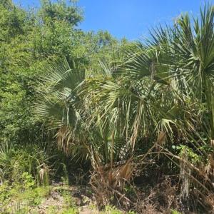 20240621002209917880000000-o