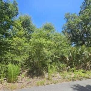 20240621002208951040000000-o