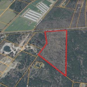 Screenshot_4-3-2026_0323_id.land