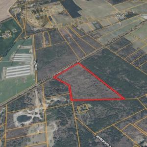 Screenshot_4-3-2026_0625_id.land