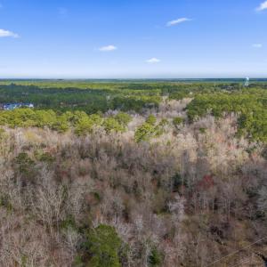 47-DJI_20260307233024_0039_D-HDR