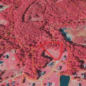 Screenshot_2-3-2026_234158_id.land