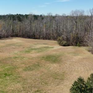 DJI_20260320112824_0010_D