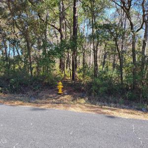 Shell Landing 3.9 Acre road frontage wit