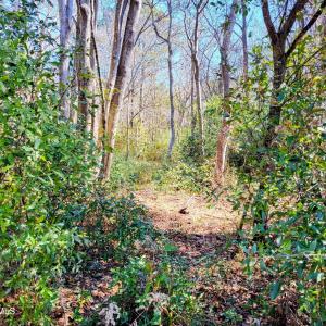 Shell Landing 3.9 Acre #5