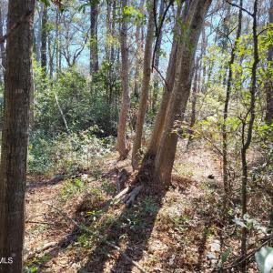 Interior of Property