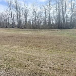 Lot 41