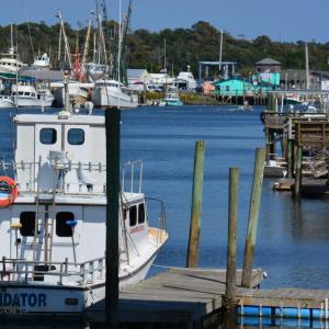 shallotte_river_hero