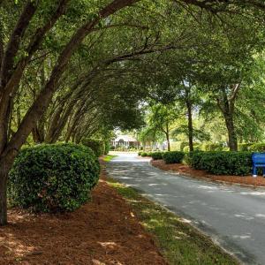 Enchanting Entrance to the Community