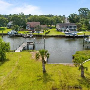 4 Established Palms in place.