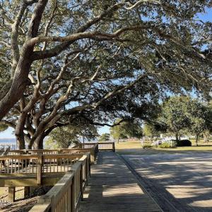 Southport Fall 2025 (14)