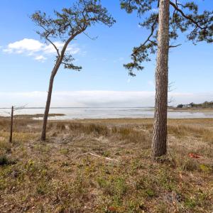 15-web-or-mls-IMG_1824