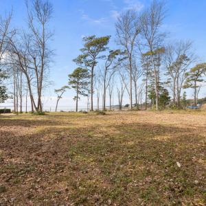 13-web-or-mls-IMG_1822