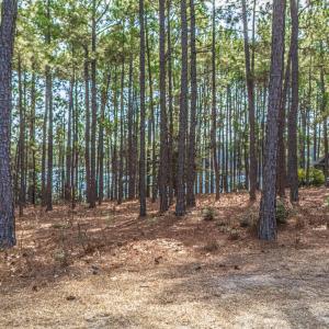 DJI_20260304115408_0012_D