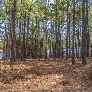 DJI_20260304115357_0011_D