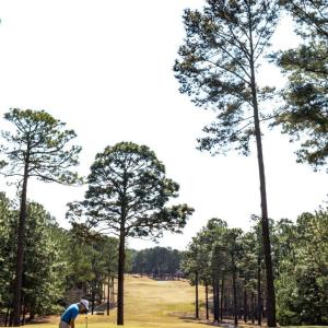 Pinewild CC Golf Course